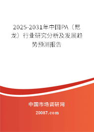 2025-2031年中国PA（尼龙）行业研究分析及发展趋势预测报告