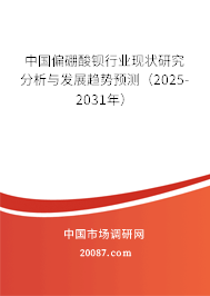 中国偏硼酸钡行业现状研究分析与发展趋势预测（2025-2031年）