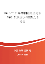 2025-2031年中国嵌缝密封条（带）发展现状与前景分析报告