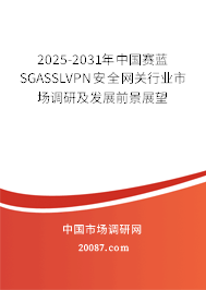 2025-2031年中国赛蓝SGASSLVPN安全网关行业市场调研及发展前景展望