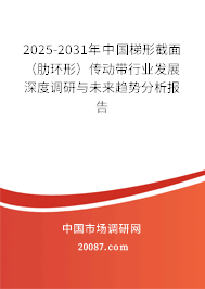 2025-2031年中国梯形截面（肋环形）传动带行业发展深度调研与未来趋势分析报告