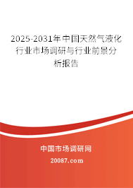 2025-2031年中国天然气液化行业市场调研与行业前景分析报告