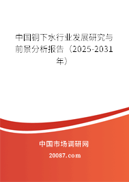中国铜下水行业发展研究与前景分析报告（2025-2031年）