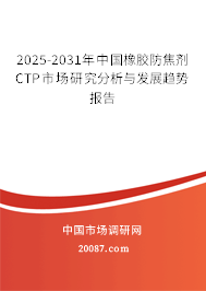 2025-2031年中国橡胶防焦剂CTP市场研究分析与发展趋势报告
