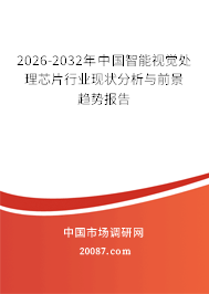 2026-2032年中国智能视觉处理芯片行业现状分析与前景趋势报告