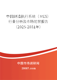 中国制造执行系统（MES）行业分析及市场前景报告（2025-2031年）