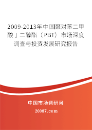 2009-2013年中国聚对苯二甲酸丁二醇酯(PBT)市场深度调查与投资发展研究报告 2009-2013年中国聚对苯二甲酸丁二醇酯(PBT)市场深度调查与投资发展研究报告