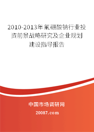 2010-2013年氟硼酸钠行业投资前景战略研究及企业规划建设指导报告 2010-2013年氟硼酸钠行业投资前景战略研究及企业规划建设指导报告