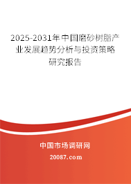 2025-2031年中国磨砂树脂产业发展趋势分析与投资策略研究报告