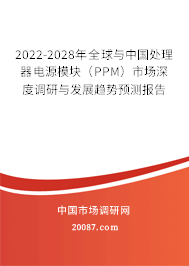 2022-2028年全球与中国处理器电源模块（PPM）市场深度调研与发展趋势预测报告