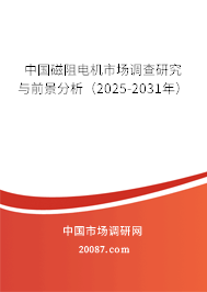 中国磁阻电机市场调查研究与前景分析（2024-2030年）