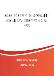2026-2032年中国缓闭式止回阀行业现状调研与前景分析报告