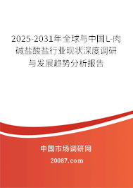 2025-2031年全球与中国L-肉碱盐酸盐行业现状深度调研与发展趋势分析报告