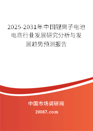 2025-2031年中国锂离子电池电商行业发展研究分析与发展趋势预测报告 2025-2031年中国锂离子电池电商行业发展研究分析与发展趋势预测报告