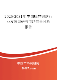2025-2031年中国临界锅炉行业发展调研与市场前景分析报告 2025-2031年中国临界锅炉行业发展调研与市场前景分析报告