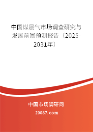 中国煤层气市场调查研究与发展前景预测报告（2025-2031年）