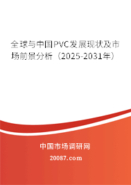 全球与中国PVC发展现状及市场前景分析（2025-2031年）