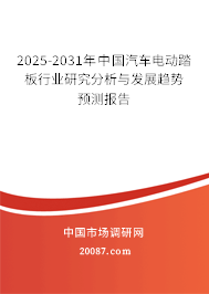 2025-2031年中国汽车电动踏板行业研究分析与发展趋势预测报告
