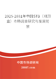 2025-2031年中国STB（机顶盒）市场调查研究与发展前景