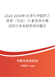 2024-2030年全球与中国三乙基镓（TEG）行业发展全面调研与未来趋势预测报告