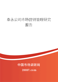 泰永公司市场营销管理研究报告