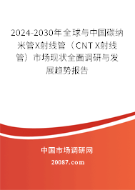 2024-2030年全球与中国碳纳米管X射线管（CNT X射线管）市场现状全面调研与发展趋势报告