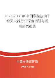 2025-2031年中国碳酸氢钠干粉灭火器行业深度调研与发展趋势报告