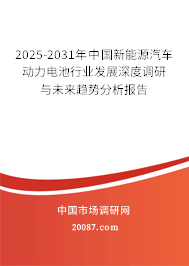 2025-2031年中国新能源汽车动力电池行业发展深度调研与未来趋势分析报告 2025-2031年中国新能源汽车动力电池行业发展深度调研与未来趋势分析报告