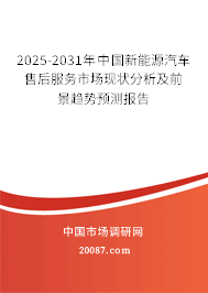 2025-2031年中国新能源汽车售后服务市场现状分析及前景趋势预测报告
