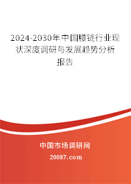 2024-2030年中国腰链行业现状深度调研与发展趋势分析报告