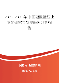 2025-2031年中国硼酸锰行业专题研究与发展趋势分析报告