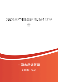 2009年中国海运市场预测报告 2009年中国海运市场预测报告