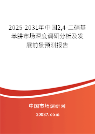 2025-2031年中国2,4-二硝基苯肼市场深度调研分析及发展前景预测报告 2025-2031年中国2,4-二硝基苯肼市场深度调研分析及发展前景预测报告