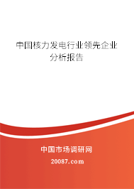 中国核力发电行业领先企业分析报告