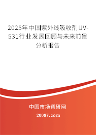 2025年中国紫外线吸收剂UV-531行业发展回顾与未来前景分析报告