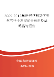 2009-2012年新经济形势下天然气行业发展前景预测及战略咨询报告