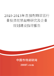 2010-2013年直接耐晒翠蓝行业投资前景战略研究及企业规划建设指导报告
