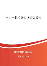 电力产业发展分析研究报告 电力产业发展分析研究报告