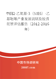 中国2-乙氧基-3(5或6)-乙基吡嗪产业发展调研及投资前景评估报告(2012-2016年) 中国2-乙氧基-3(5或6)-乙基吡嗪产业发展调研及投资前景评估报告(2012-2016年)