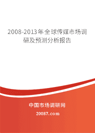 2008-2013��ȫ��ý�г����м�Ԥ���������