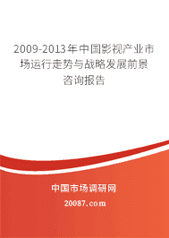 2009-2013���й�Ӱ�Ӳ�ҵ�г�����������ս�Է�չǰ����ѯ����