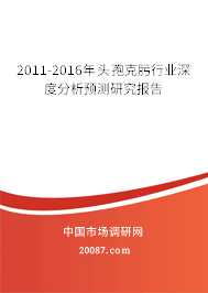 2011-2016年头孢克肟行业深度分析预测研究报告