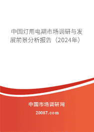 中国灯用电期市场调研与发展前景分析报告(2023年) 中国灯用电期市场调研与发展前景分析报告(2023年)