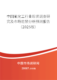 中国氟化工行业现状调查研究及市场前景分析预测报告(2025版) 中国氟化工行业现状调查研究及市场前景分析预测报告(2025版)