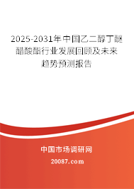 2025-2031年中国乙二醇丁醚醋酸酯行业发展回顾及未来趋势预测报告