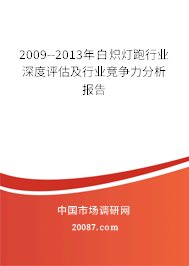 2009--2013年白炽灯跑行业深度评估及行业竞争力分析报告