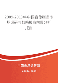 2009-2013���й�������Ʒ�г�������ս��Ͷ��ǰ����������