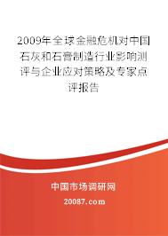 2009年全球金融危机对中国石灰和石膏制造行业影响测评与企业应对策略及专家点评报告