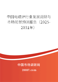 中国电磁炉行业发展调研与市场前景预测报告(2025-2031年) 中国电磁炉行业发展调研与市场前景预测报告(2025-2031年)