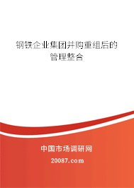 钢铁企业集团并购重组后的管理整合 钢铁企业集团并购重组后的管理整合